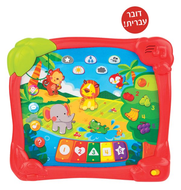 ⁦לוח לימודי חיות ג'ונגל בעברית winfun⁩ – תמונה ⁦2⁩
